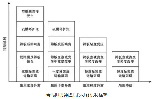 6686在线登录官网入口-6686(中国)学术课堂:眼颅压力梯度在青光眼视神经损伤机制中作用2.png 6686在线登录官网入口-6686(中国)学术课堂:眼颅压力梯度在青光眼视神经损伤机制中作用2.png